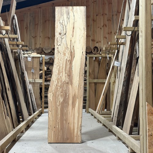 Spalted beech plank - spalted,
