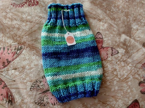 Hand knitted dog - knitted, jumper.