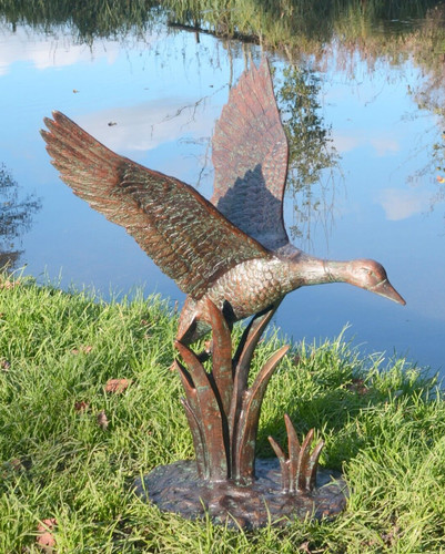 Supberb duck flight in - supberb, flight"