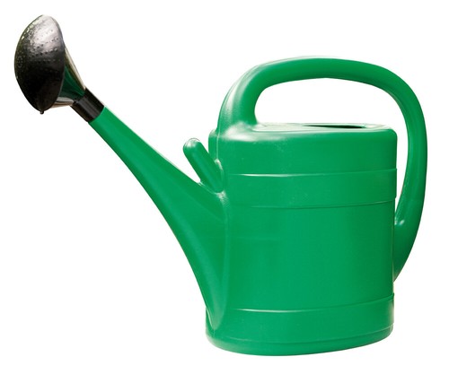 Litre green watering can - green, by