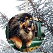 Tibetan Mastiff Dog Hanging