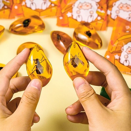 1pc surprise amber - surprise,
