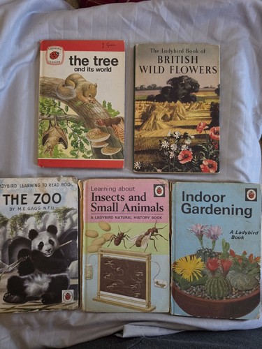 Vintage ladybird nature - ladybird,