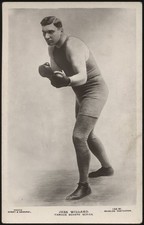 Beagles Famous Boxers - 'Jess