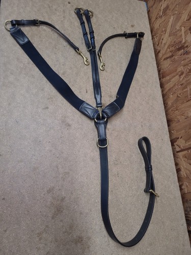 Kirkland leather breastplate - kirkland,
