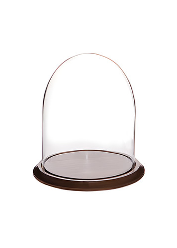 Glass dome diameter x - glass,