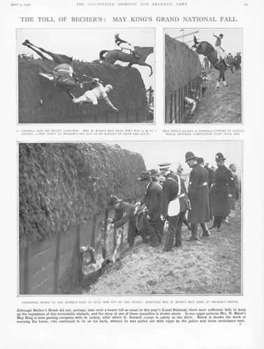 1930 vintage print horse - 1930,
