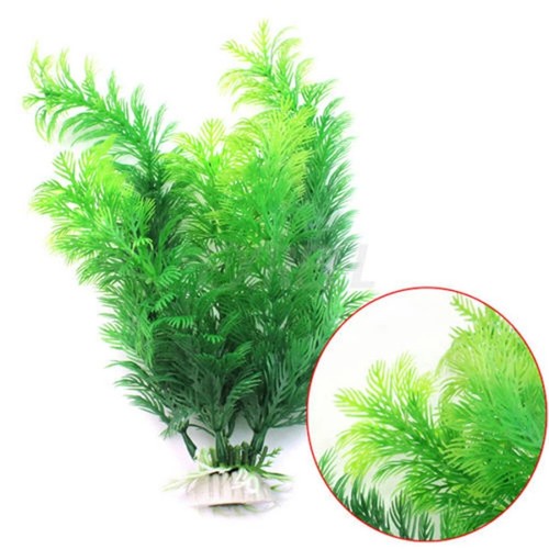 30cm large fish tank - 30cm,