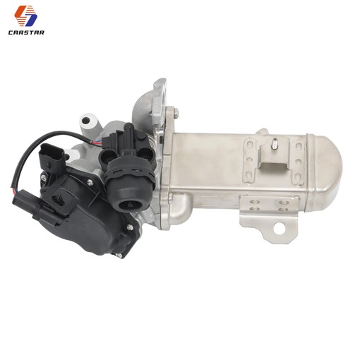 Egr valve module for peugeot - egr,