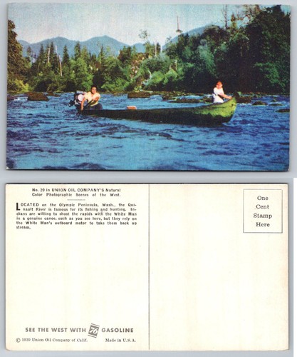 Quinault river washington - quinault,