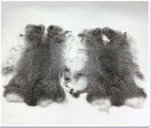 2pcs natural real - rabbit, skin