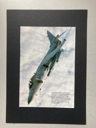 Military aviation print sea - print,