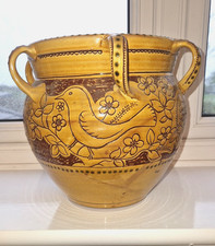 Large Harry Juniper Bideford