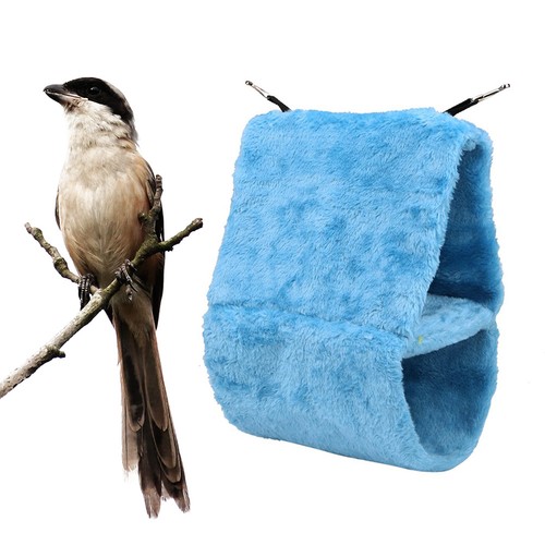 Parrot sleeping hut bird - hut,