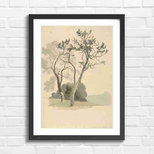 Orchard trees artistic drawing - trees,