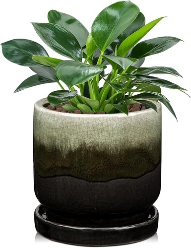 Ceramic plant pot inch - plant, 5