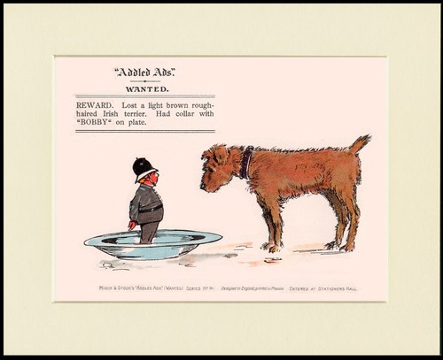 Irish terrier dog - dog, art