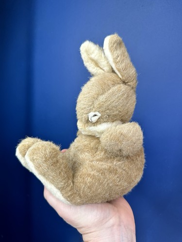 Gemini non sleeping bunny - gemini,