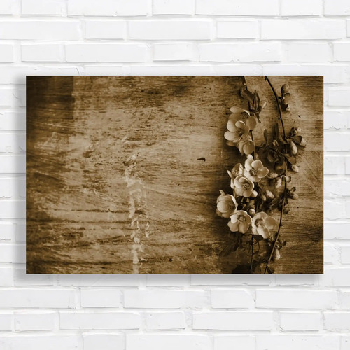 Pastel sepia canvas - pastel,