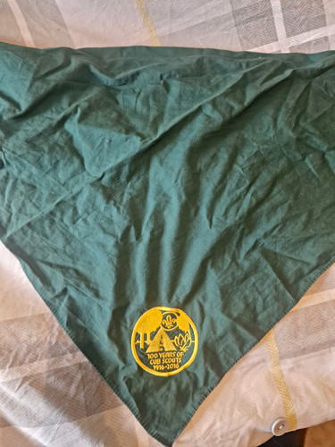 Cub scouts 100 - years, 1916-2016