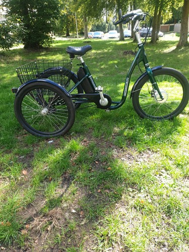 Adults tricycle mission - tricycle,