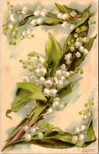 Antique catharina klein floral - klein,