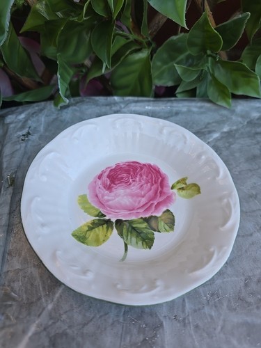 Vintage rosina china - vintage,
