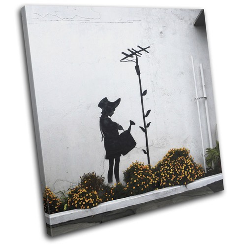 Sunflower aerial urban gift - sunflower,