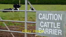 Photo 6x4 Cattle barrier