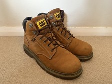 Caterpillar cat walking - caterpillar,