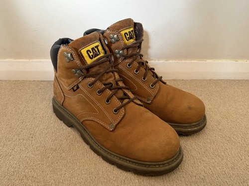 Caterpillar cat walking - caterpillar,