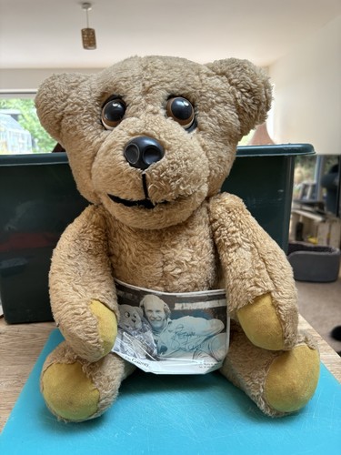 Vintage 1976 nookie bear - nookie,