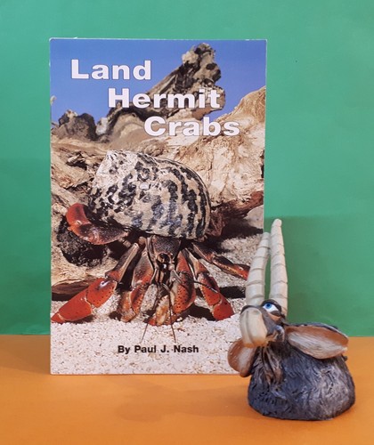 Paul nash land hermit - nash:,