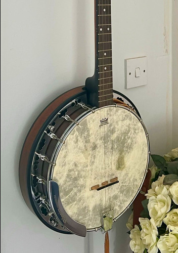 Pilgrim string resonator - 5-string,
