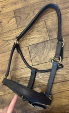 Heritage Black padded Full size leather headcollar