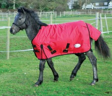FOAL TURNOUT RUG MEDIUMWEIGHT