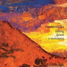 Tindersticks - Falling Down A Mountain - Tindersticks CD A4VG The Cheap Fast The