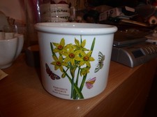 Portmeirion Botanic Garden  round large plant pot