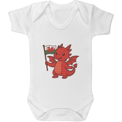 Cute welsh dragon - dragon', baby