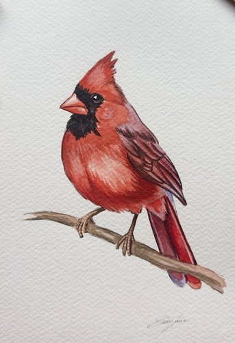 Original bird watercolor - original,