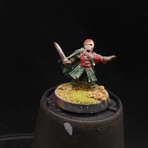 Painted warhammer lotr hobbit - painted,