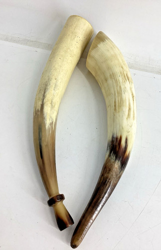 Vintage natural cow horns - vintage,