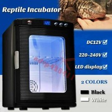 Automatic high quality reptile - quality,