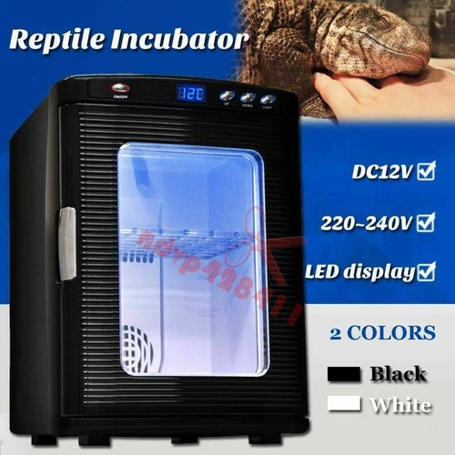 Automatic high quality reptile - high,