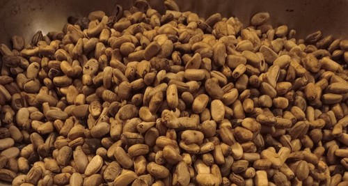 Mmimi - mmimi,, (pepper