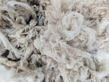 Shetland Fleece
