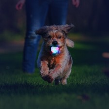 Ultra LED Dog Ball Toy Light