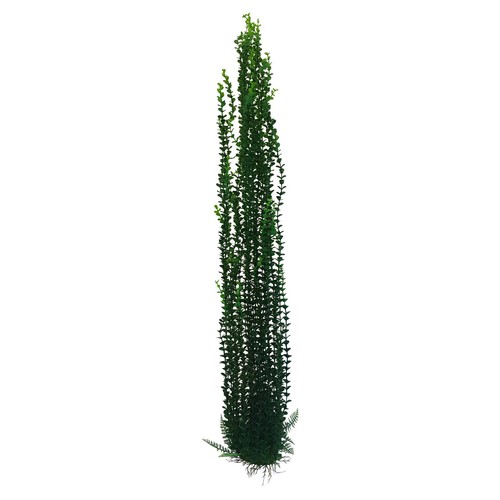 Jumbo green aquarium pond - or,