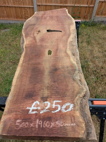 Yew live edge timber slab - live,