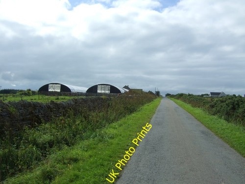 Photo 6x4 polytunnels - photo,